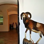 Przy Oslej Bramie - Zamek Ksiaz 3* Wałbrzych