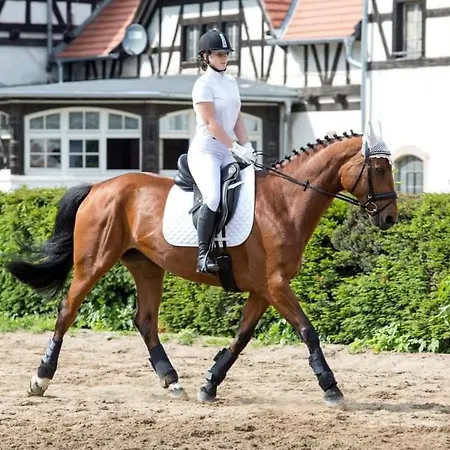 Przy Oslej Bramie - Zamek Ksiaz 3*