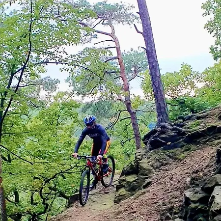 Przy Oslej Bramie - Zamek Ksiaz Валбжих