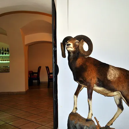 Przy Oslej Bramie - Zamek Ksiaz 3* Валбжих