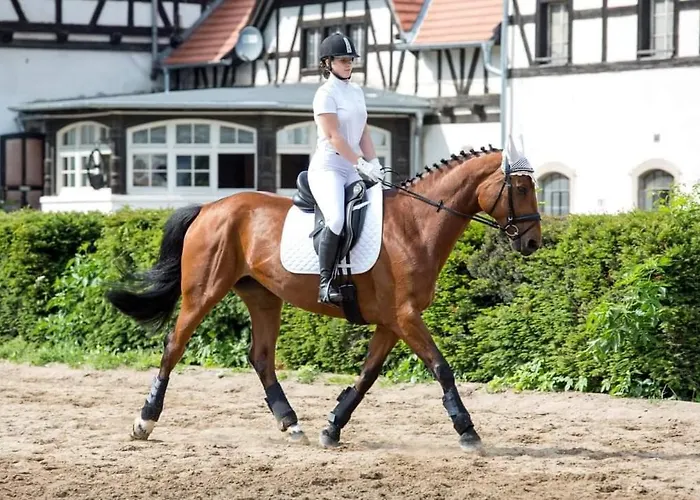 Przy Oslej Bramie - Zamek Ksiaz 3*