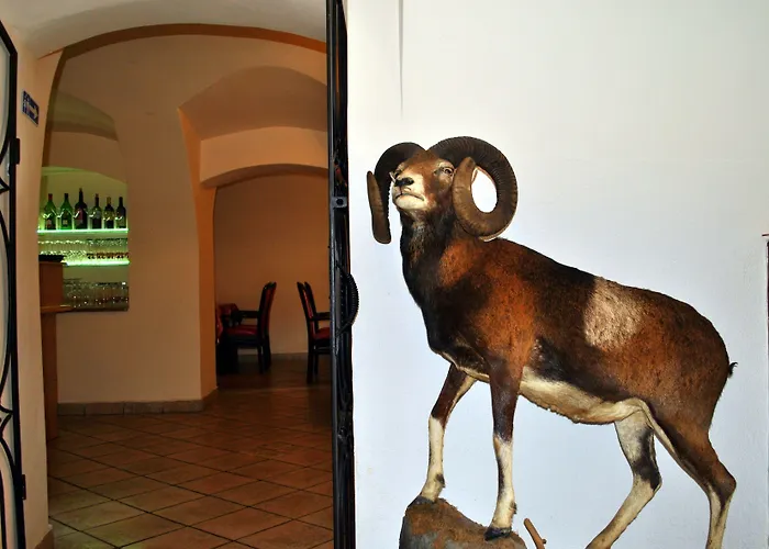 Przy Oslej Bramie - Zamek Ksiaz 3* Валбжих